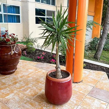 Hotel Majestic Olimp All Inclusive Hotel *